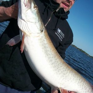 Meet your Posher, Roger